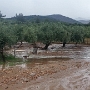 A Szöcske család elindult Kastro irányába, de nem jutottak fel: árvízet találtak.